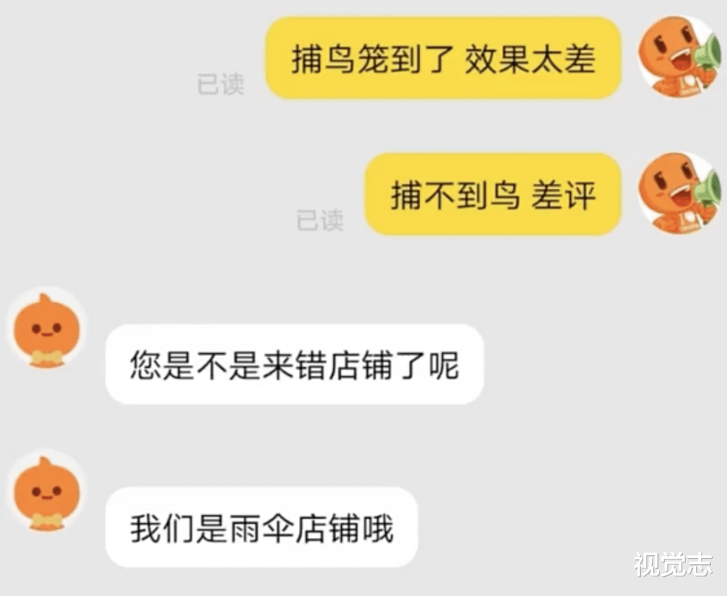 长三角|网购的世界太奇妙，什么鬼都能买到……