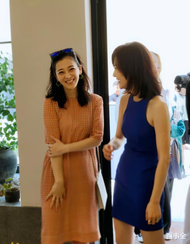 梅婷|45岁梅婷近照被曝认不出，瘦下来秒变锥子脸网红？却意外撞脸应采儿
