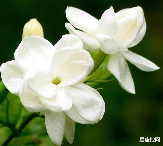 |哪些日子出生的人，9月有望出人头地，事业拔得头筹！