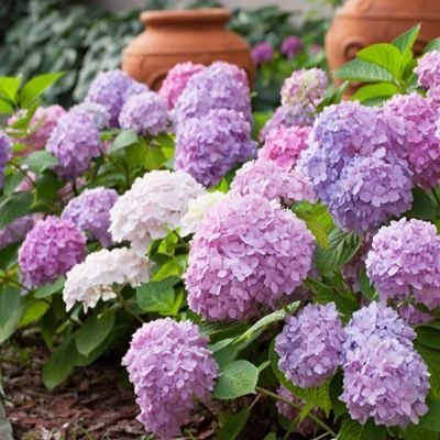 「生肖」长得非常“迷人”的三个生肖女，就算人到中年也依然美丽大方