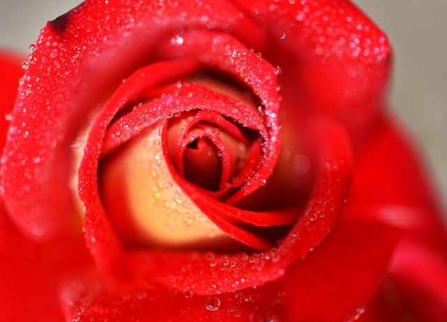 |9月18号到来此三属相走横财大运，大吉大利，钱财无缺