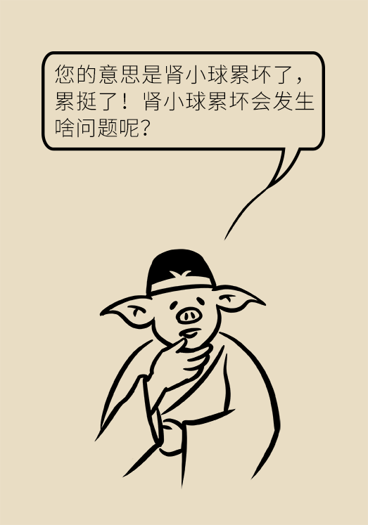 欧莱雅|肥胖居然还伤这个器官？这回真的不得不减肥了！