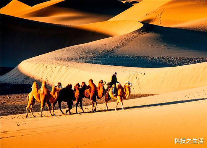 [水晶宫]沙漠下面出现“水晶宫”，温度高达58摄氏度，这是真的吗？