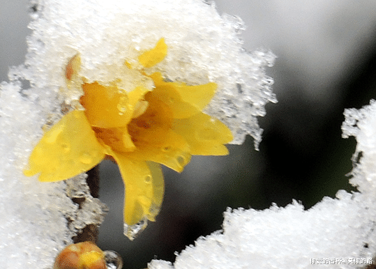 |7月份开始，4属相吉星高照，好运如期而至，正财转旺，收获喜人