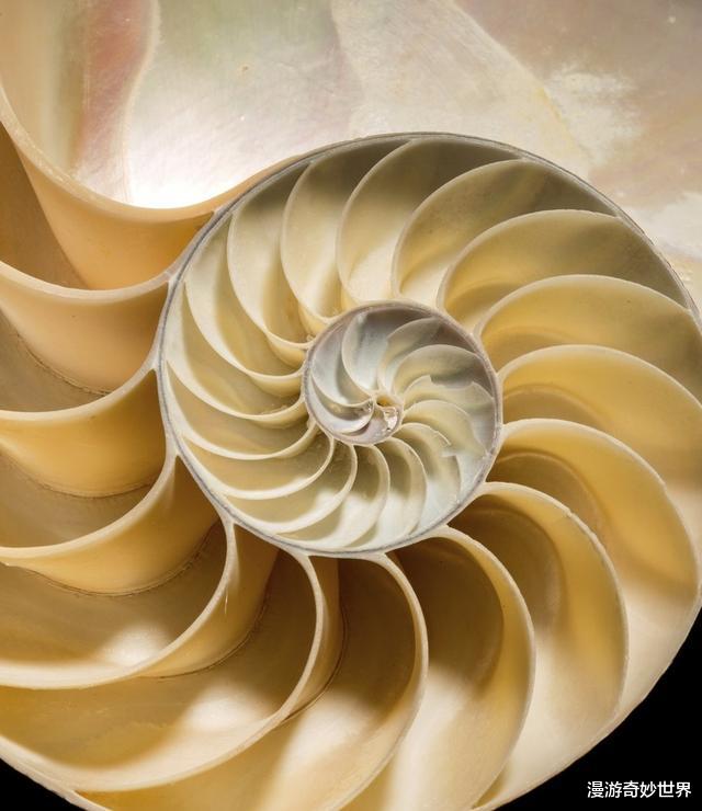 ：这些东西内部长啥样？25张照片揭示日常事物看不见的一面！