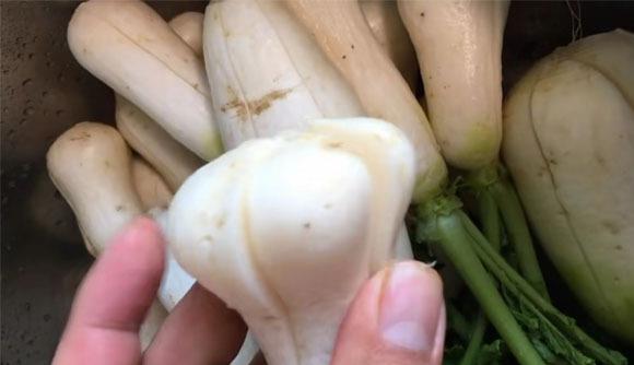 萝卜|这食材正上市，碰到别手软，多买几斤，回家一拌一腌，给肉都不换