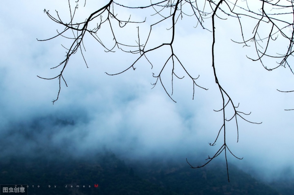 交易|深度解析中国股市：中国真正赚钱的只有一种人，极少亏钱！