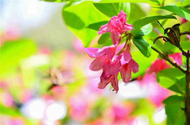 霉运|下半年，不再走霉运，3生肖贵人认可，烦恼消散，收获好运横财！