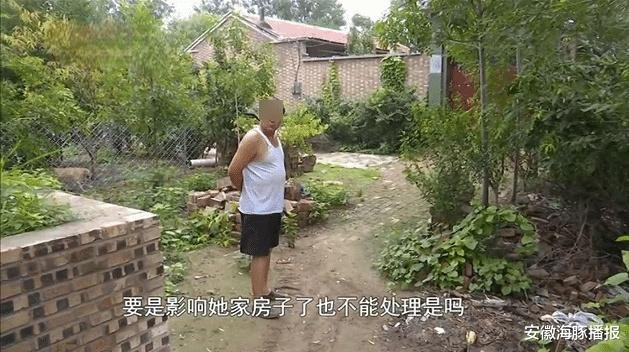 安徽海豚播报|房顶被邻居的大树砸坏，邻居不赔偿还不让挪树，邻居：树是祖传的