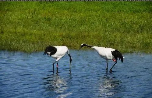 内蒙古▲中国突然公布一组内蒙古新照,最近千万别去那里!