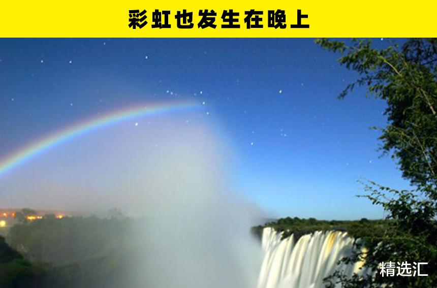 瓢虫|冷知识普及:在这个世界上,所存在着的7个惊奇事实