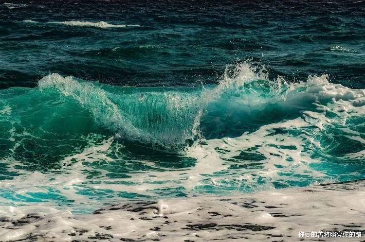 运势|八月份，这四大生肖运势，将达到人生巅峰，爱情事业双丰收