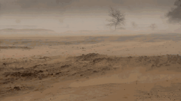 毛乌素沙漠：这块不毛之地，快被中国人消灭了