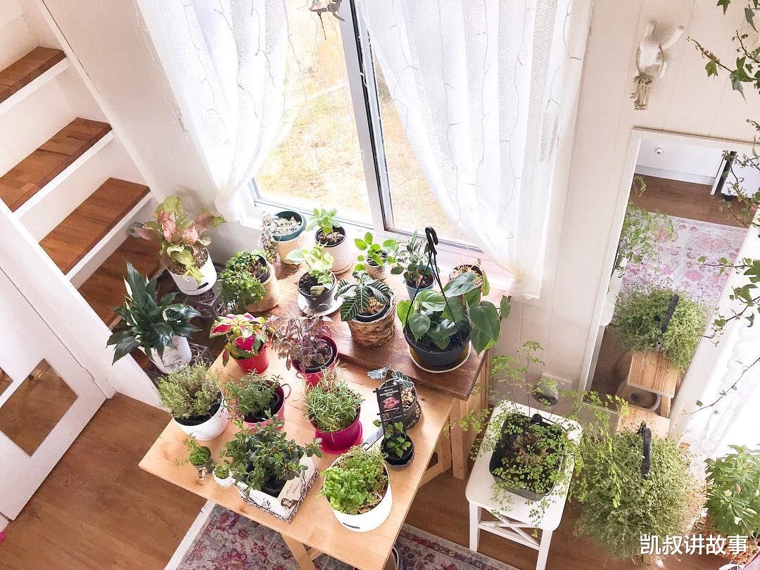 结婚|55岁不结婚，晒房间引100万人点赞：生活好不好，看卧室就知道