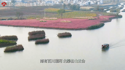 石家庄|这种食物“江苏少有，连云港仅有，灌云独有”！很多人不敢下嘴！