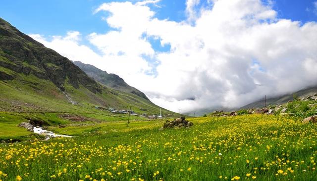 运势|8月底，财运挡不住，贵人大力支持，3生肖努力有回报，咸鱼也翻身