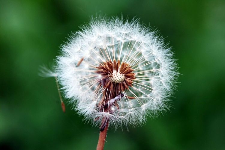 生肖|9月1日之后，摊开想念，握紧幸福，排除万难，终旧爱变真爱的星座