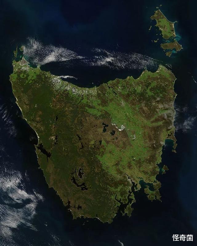 太空|文明的结局已在现实中上演？“孤岛效应”正让人类走向毁灭