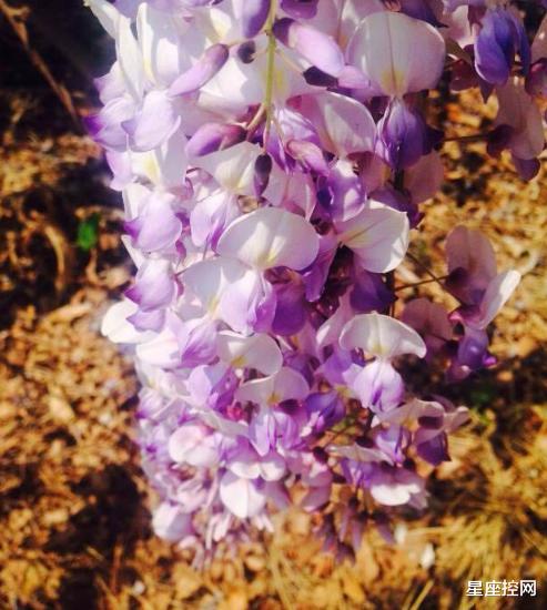 |几月出生的人，不靠嘴皮子，就靠真本事，下半年有能力挤进富豪榜