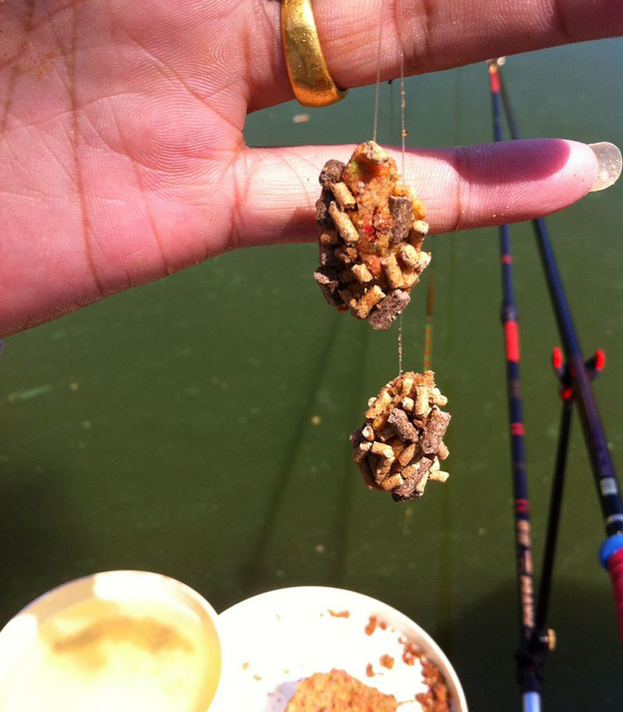 []从竞技钓进入黑坑，这种麻团钓法，上鱼速度没话说