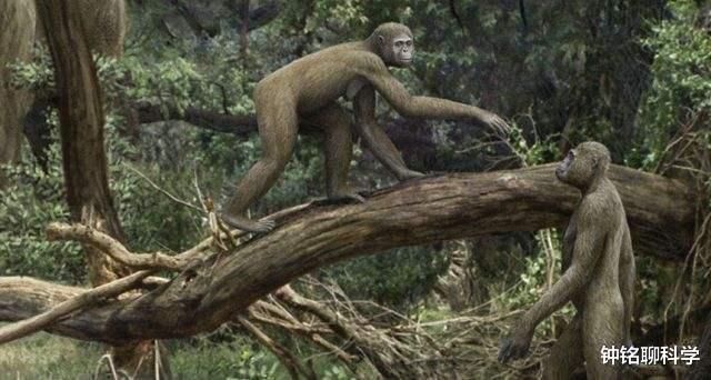 哺乳动物|地球原本没有人,那第一个“人”是怎么出现的?