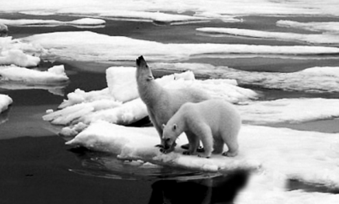 #全球变暖#?全球气候变暖的真相是啥？科学家终于找到罪魁祸首，我们都错了！