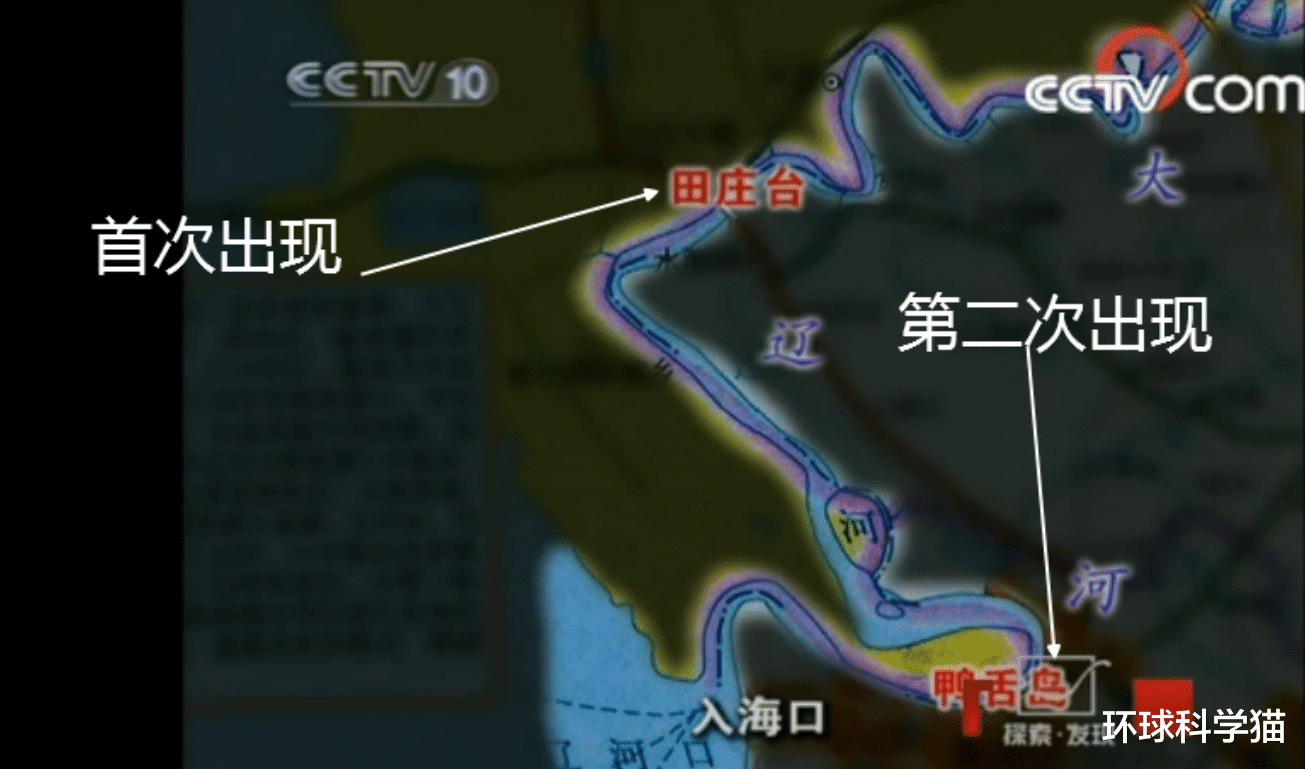 化石|地球上真的从未出现过“真龙”？有何依据？