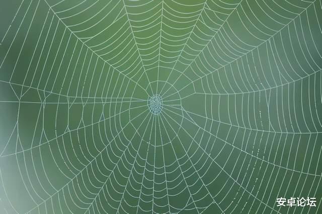 病毒|重大升级！明年的手机，或许真的不用贴膜了