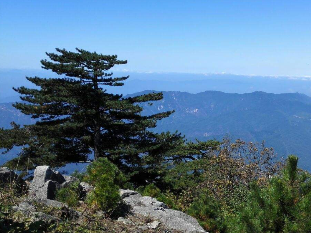 []中国超“良心”的景区，门票仅65元，山清水秀瀑布众多，从不宰客