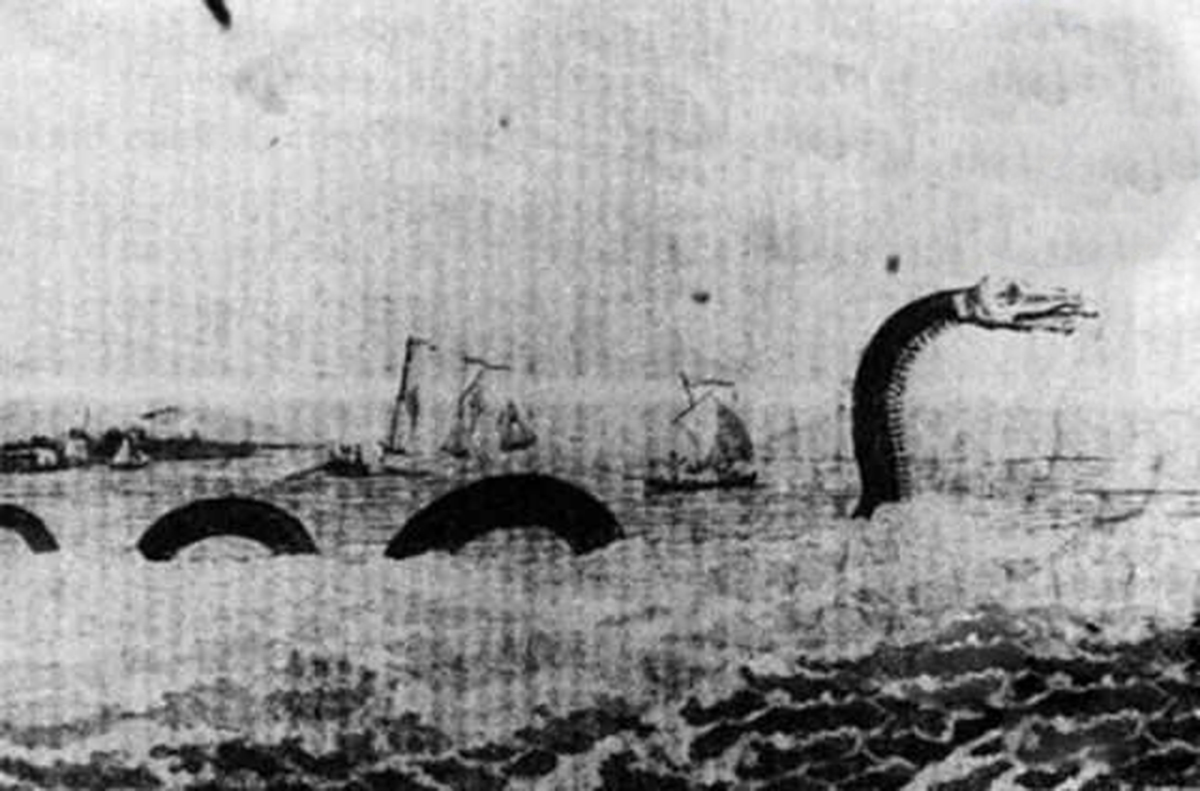 陨石▲深海巨怪大海蛇，是否真实存在？早已灭绝还是只存在于神话传说中