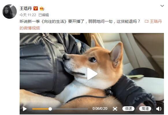 原油期货▲爱犬“瓢哥”疯狂拆家 王珞丹：这货能退吗？