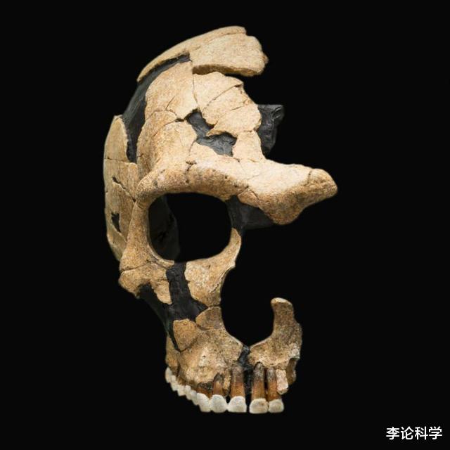 智人|有证据表明，人类和尼安德特人发生过世界级大战，持续了10万年