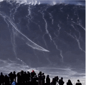 #月球#28张令人窒息的巨物图片，看得头皮发麻……