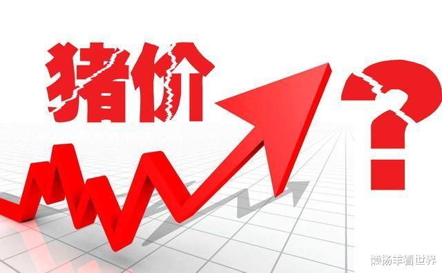 猪肉|累计投放49万吨肉去哪了？难怪猪肉价不跌，原来都被“他们”买走了！