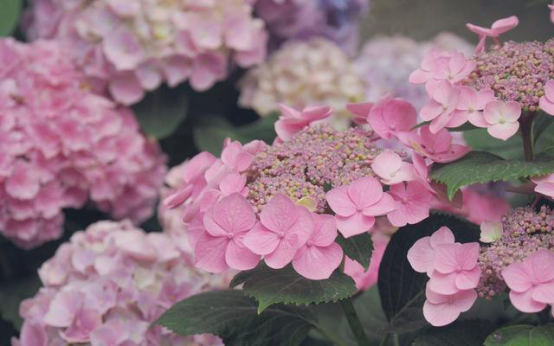 巨蟹座:6月,另寻新方向,潜力无限,开启人生赢家模式,未来可期的星座