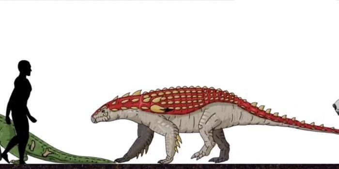 恐龙|远古时期的地球, 曾存在过的可怕生物, 今已全部灭绝