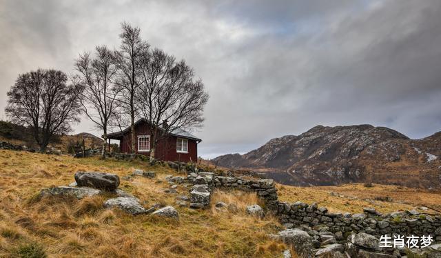 属马|10月中旬，红鸾报喜，旧情人回头，3生肖爱你如命，一生不离不弃
