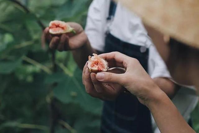 水果|七月别错过它，人称“生命之果”，钙质含量丰富，孩子多吃长得高