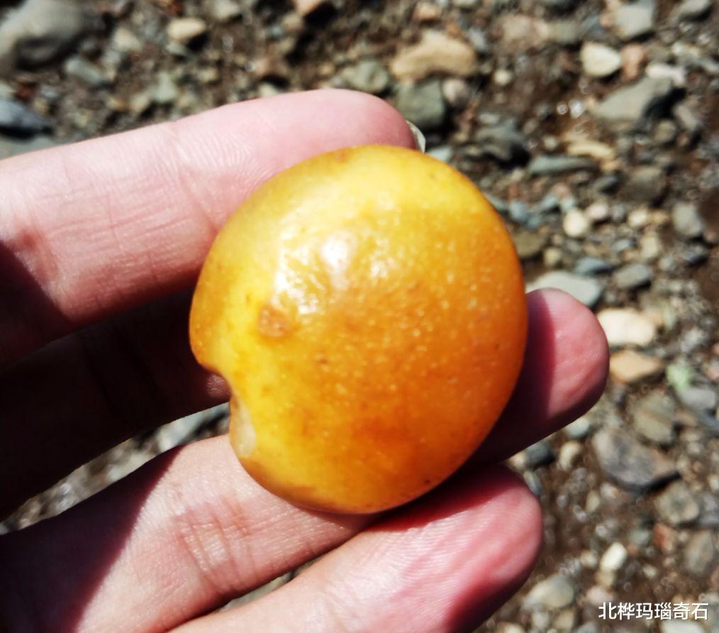 玛瑙|现在这个季节还能捡到石头