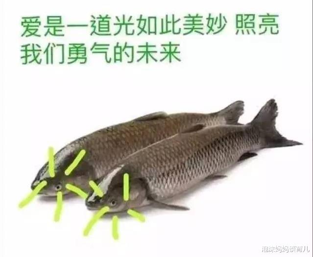 作文|高考语文作文：29万浙江考生被一条“鱼”打败，文章作者：我也懵