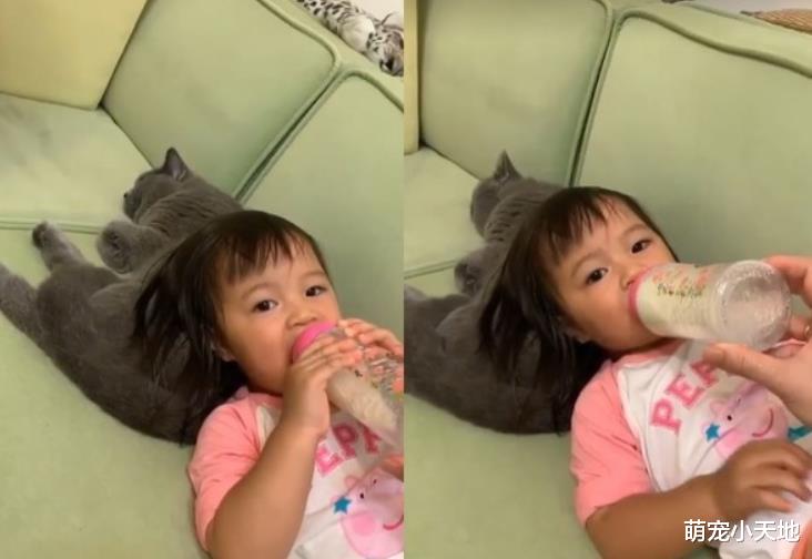 1岁萌妹饭后偷闻猫屁屁，之后突然握拳头跺脚跳舞兴奋大笑