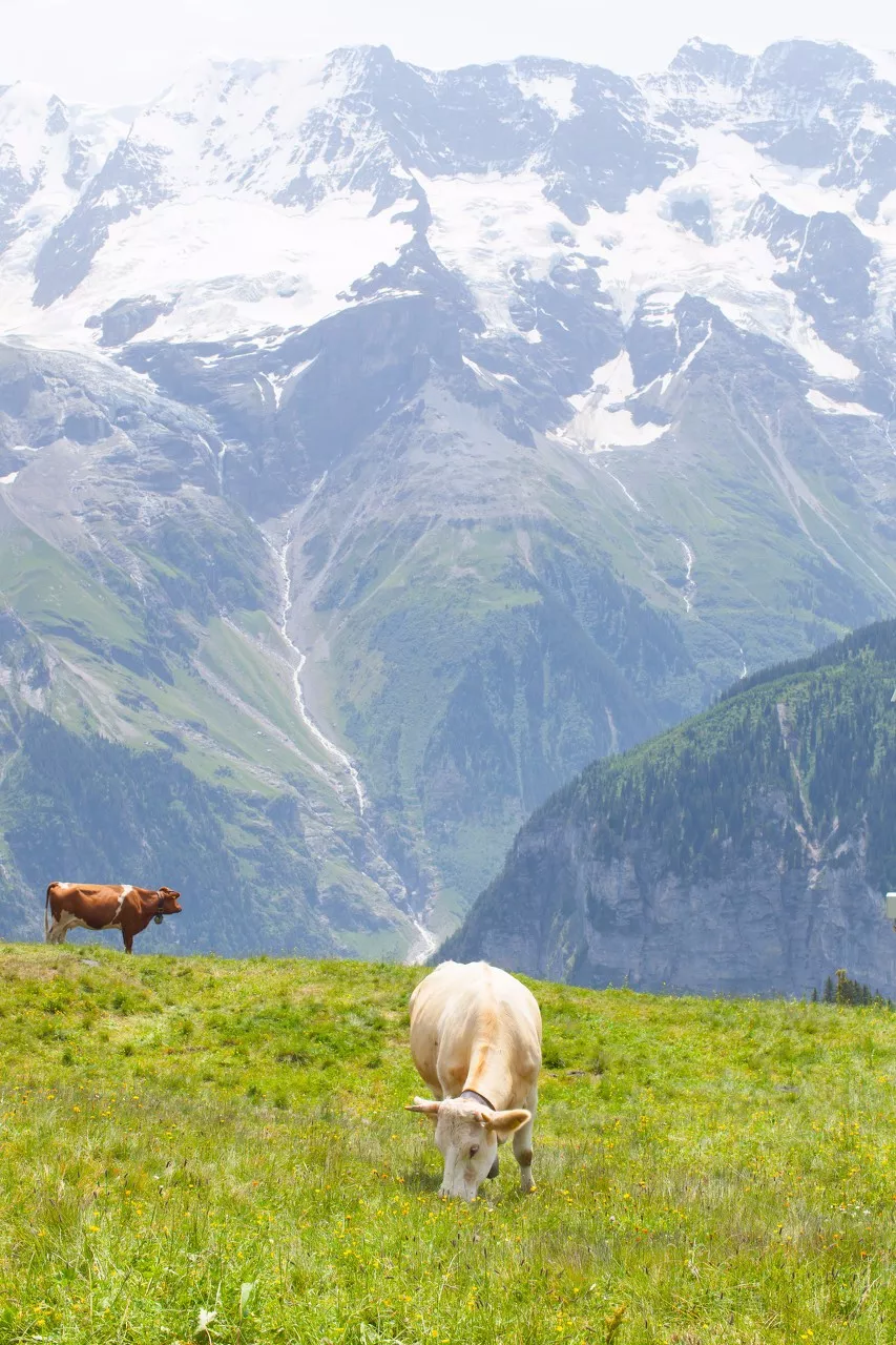 |比天堂小镇美十倍！这个藏了72条瀑布的小镇，每走一步都是仙境!