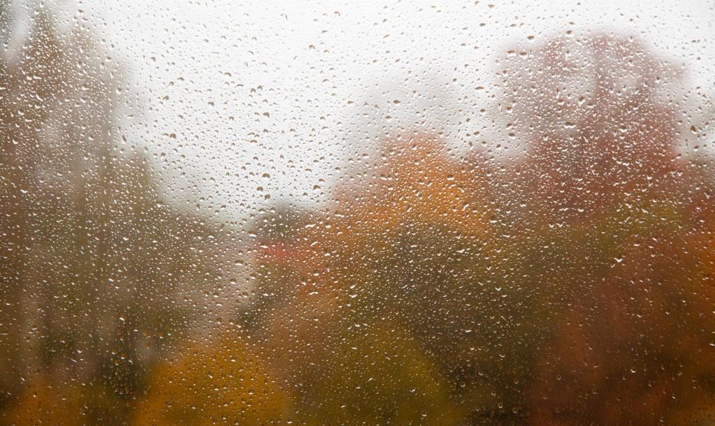 花椒|湿气的“劲敌”被找到，并非花椒，敞开吃，祛湿排毒，告别大肚腩