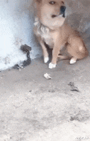 00后|这车，00后绝对不认识