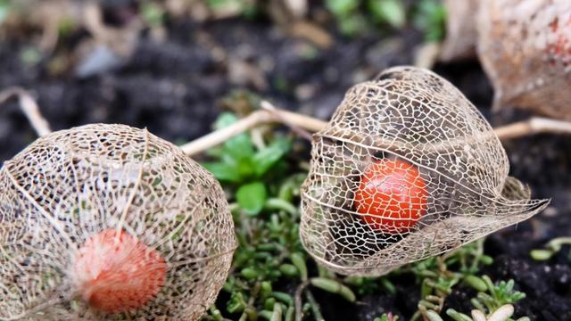 『爱在一起』5月初，万里柔情，旧情人回头笑，3生肖破镜重圆，重新爱在一起