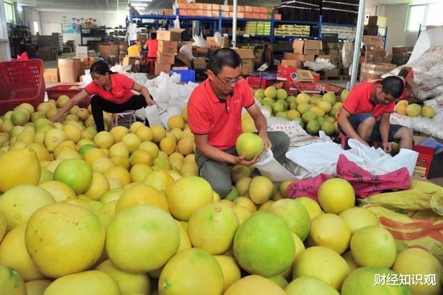 电子商务■马云表示:未来最好的发展机会在农村,这些赚钱机会千万别错过