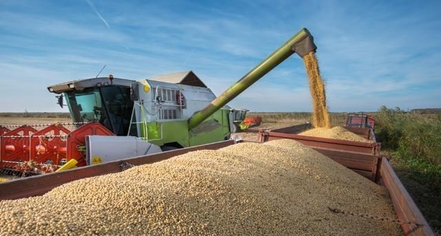 粮价|肉价涨、粮价涨，后市粮价还有上涨空间吗？附：10月3日玉米价格