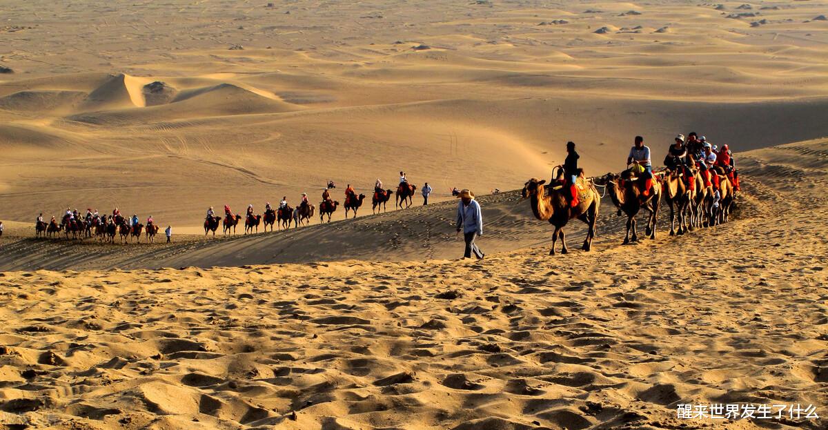 QQ邮箱|2020.11.19  互联网+ 发生了什么