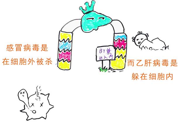 乙肝|张文宏说乙肝能临床治愈，那为什么还有携带者7000多万？