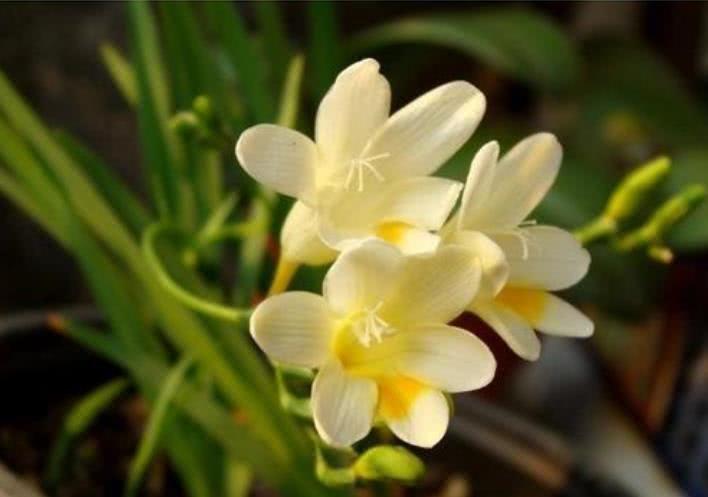 运势|10月开始，运势如虹，财运突飞猛进，大发横财的四大属相